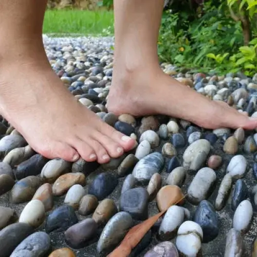 Reflexology Path