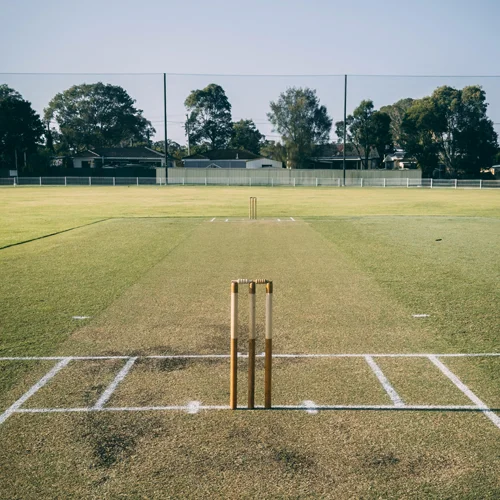 Cricket Pitch
